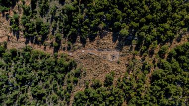 Otvori galeriju anela-korac_01.jpeg