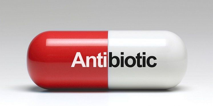 Kard. Turkson: Ograničiti širenje otpornosti na antibiotike