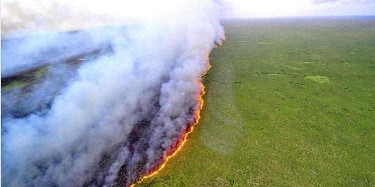 Gore „Pluća svijeta“: Amazona nestaje u plamenu