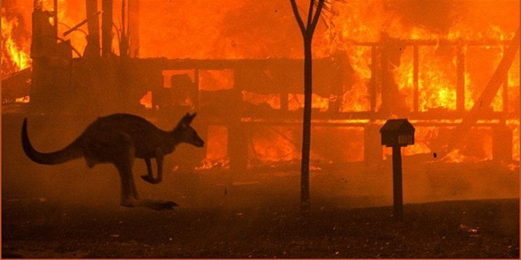Zbog požara u Australiji Katolička Crkva poziva na solidarnost