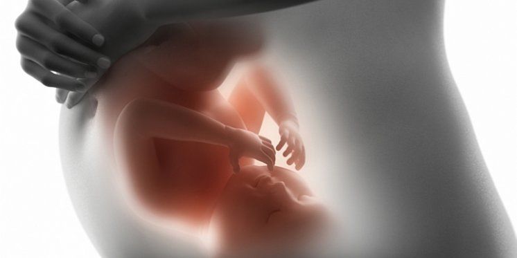 Nevina djeca: U 2019. godini je diljem svijeta izvršeno 42,4 milijuna pobačaja