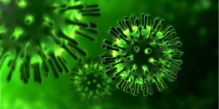 Hrvatski molekularni biolog o koronavirusu: Nema potrebe za panikom! Ovo je prava istina!