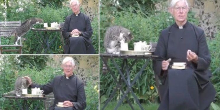 Ovako su mace pomogle da se propovjedi bolje čuju!