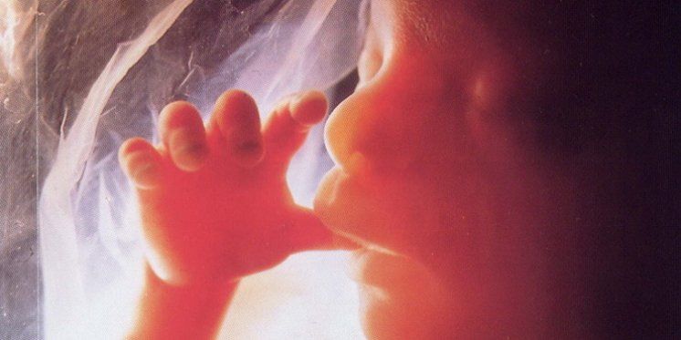 Okrug u Arkansasu stao u obranu života od začeća, a trudnicama nudi pomoć