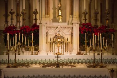 Otvori galeriju u-new-yorku-neustrasivi-katolici-zapoceli-herojsku-molitvu_04.jpg